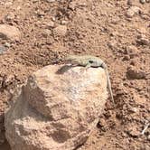 Review photo of Nine Mile Hill by Jenn C., May 24, 2025