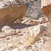 Review photo of Nine Mile Hill by Glen B., September 11, 2026