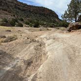 Review photo of Nine Mile Hill by Jenn C., May 24, 2025