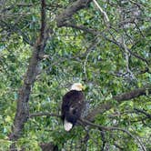 Review photo of Ninilchik View Campground by Connie B., June 29, 2026