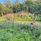 Review photo of Ninilchik View Campground by Abbey P., August 11, 2026