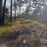 Review photo of Nobles Primitive Camp — Big Cypress National Preserve by Trevor G., January 19, 2025