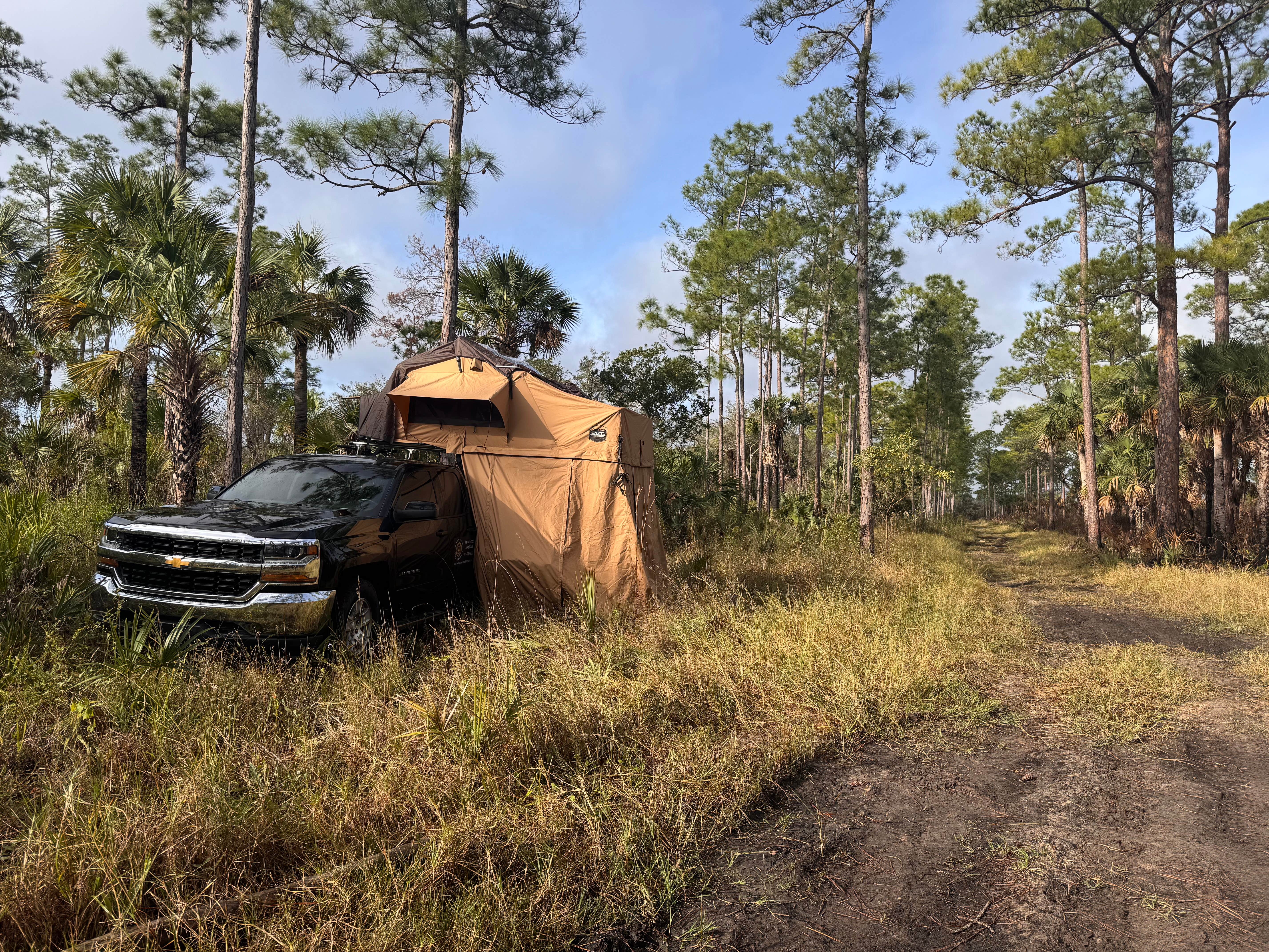 Trevor G.'s photo of a dispersed camping area at Nobles Primitive Camp — Big Cypress National Preserve near Ochopee, FL