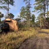 Review photo of Nobles Primitive Camp — Big Cypress National Preserve by Trevor G., January 19, 2025