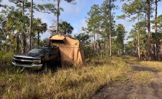 Trevor G.'s photo of a dispersed camping area at Nobles Primitive Camp — Big Cypress National Preserve near Naples, FL