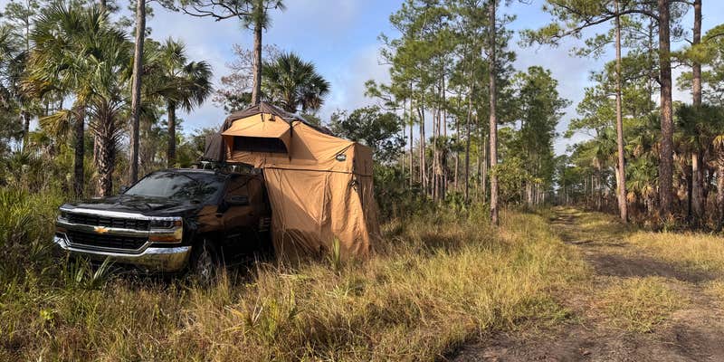 Camper submitted image from Nobles Primitive Camp — Big Cypress National Preserve