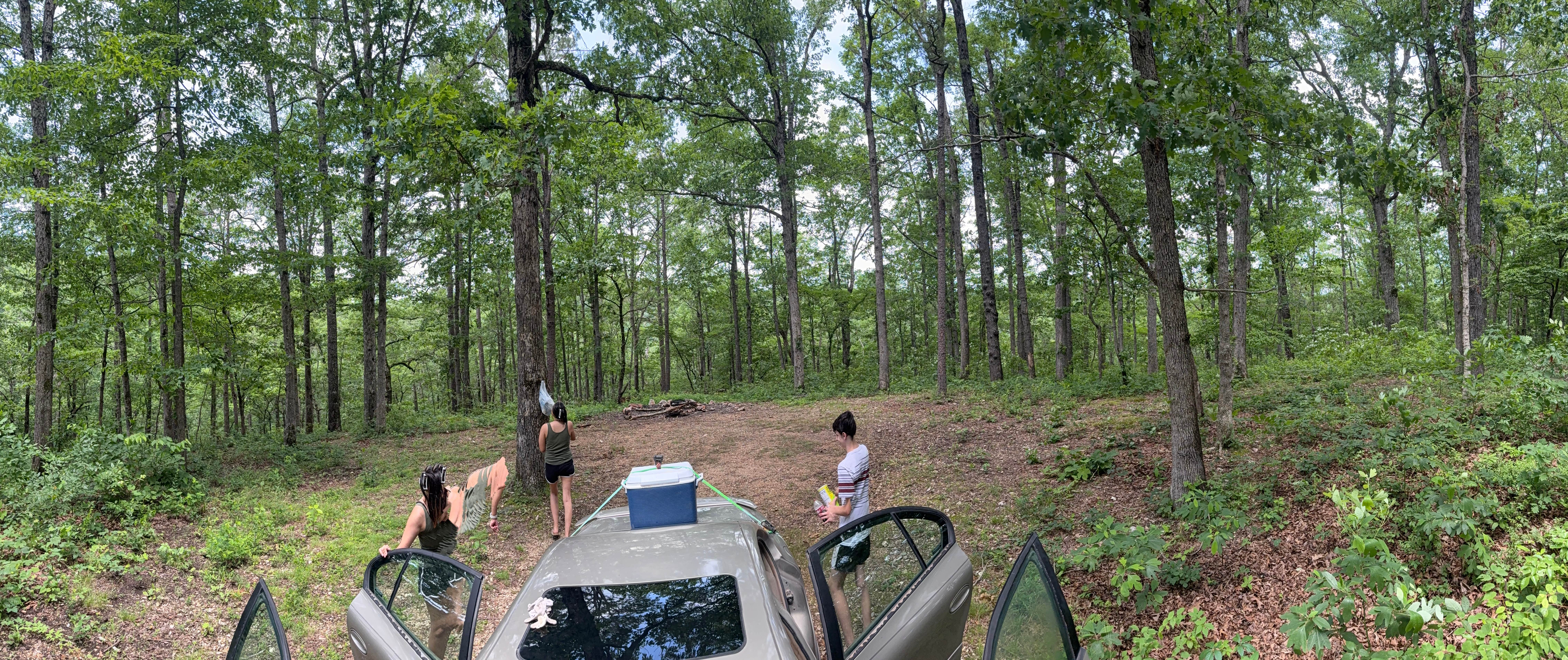 Camper-submitted photo at Noblett Lake Dispersed Camping near Vanzant, MO