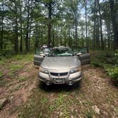Review photo of Noblett Lake Dispersed Camping by Forrest C., June 11, 2026