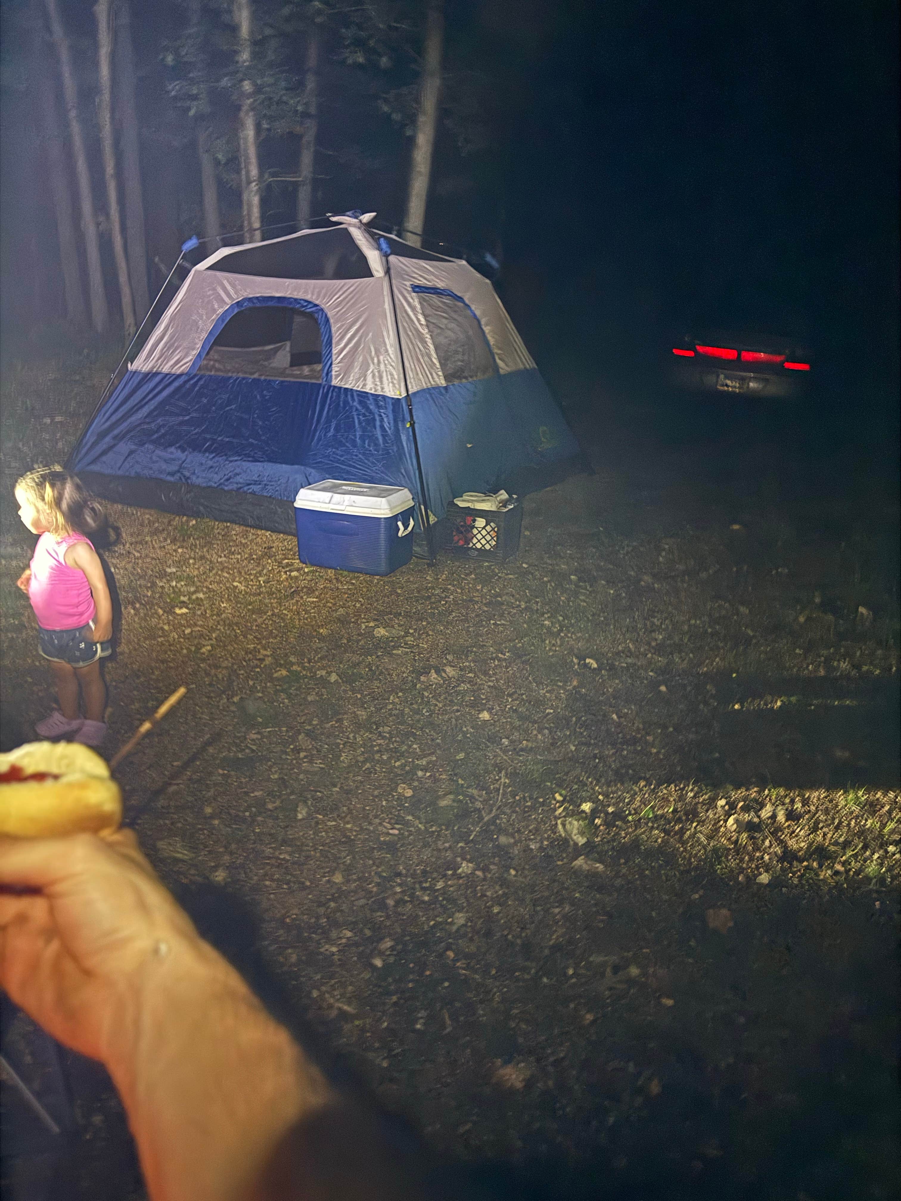 Camping near The Campground at Willow Springs: Noblett Lake Dispersed Camping, Willow Springs, Missouri