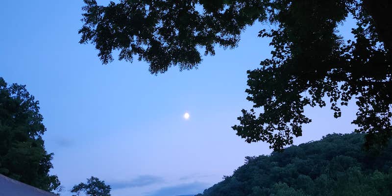 Camper submitted image from Nolichucky Gorge Campground