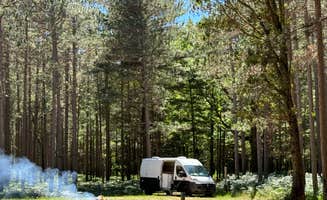 Amber R.'s photo at Nordhouse Dunes Wilderness - Green Road near Manistee, MI