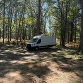 Review photo of Nordhouse Dunes Wilderness - Green Road by Steve S., September 26, 2026