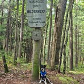 Review photo of Nordhouse Dunes Wilderness by C P., September 24, 2024