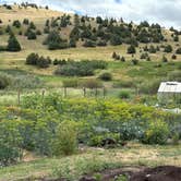 Review photo of Norris Hot Springs by Beth B., July 16, 2025
