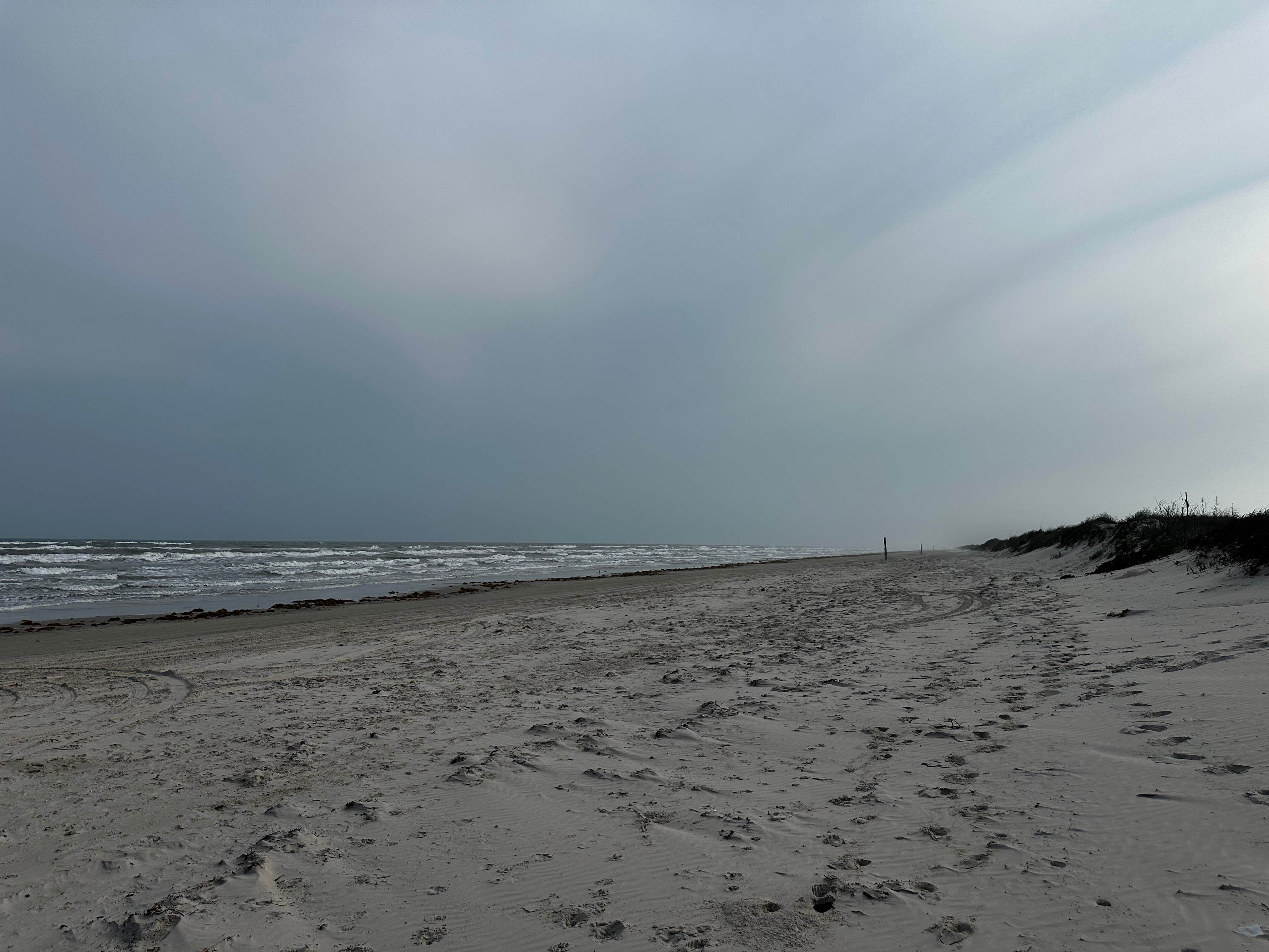 Camper-submitted photo at North Beach — Padre Island National Seashore near Corpus Christi, TX