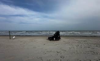 Shane W.'s photo of a dispersed camping area at North Beach — Padre Island National Seashore near Robstown, TX