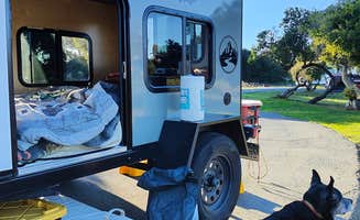 Vincent B.'s photo of camping with pets at North Beach Campground — Pismo State Beach near Santa Maria, CA