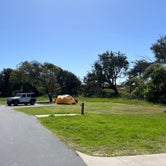 Review photo of North Beach Campground — Pismo State Beach by Michael , April 24, 2024