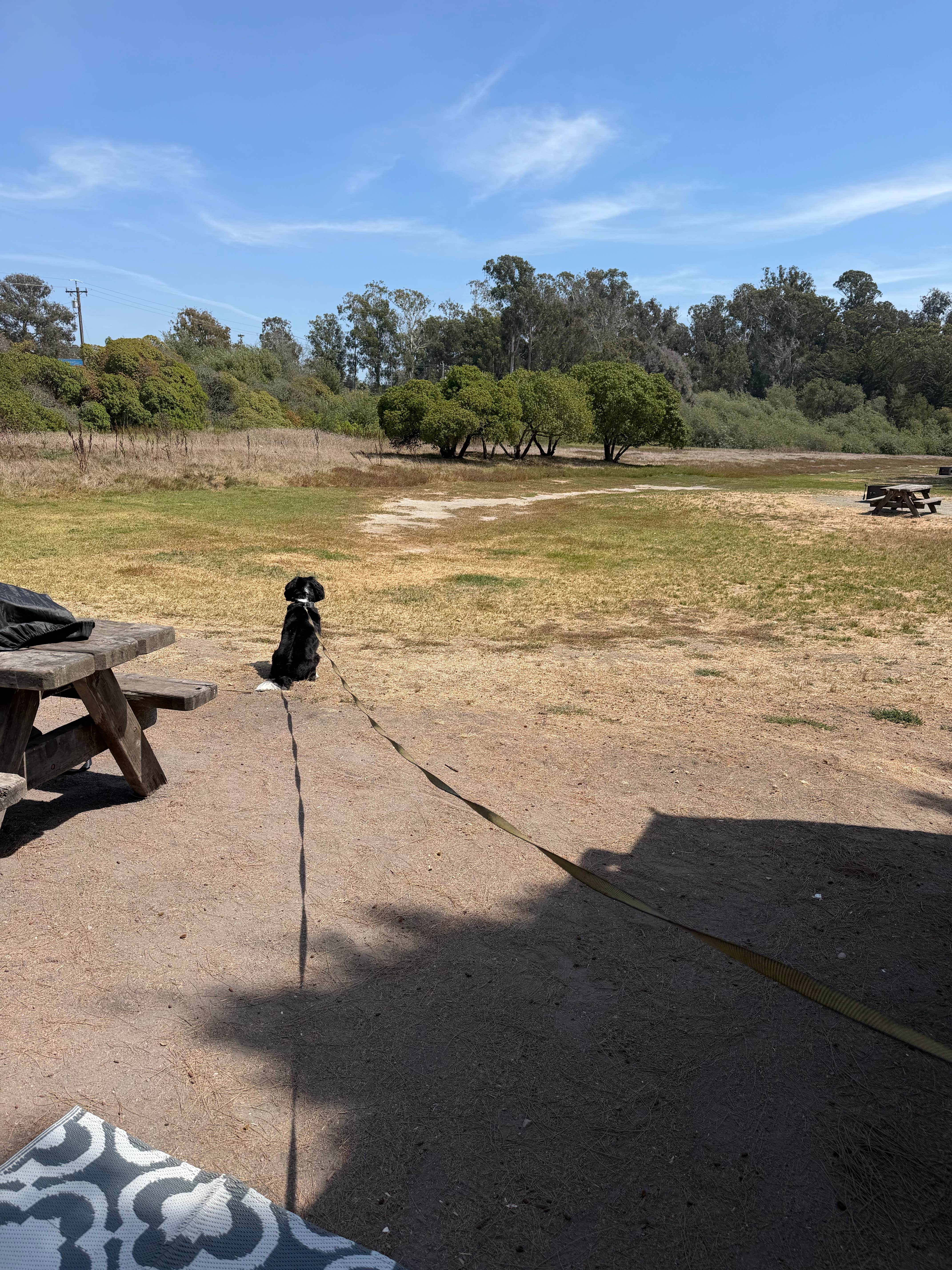 Tom H.'s photo of camping with pets at North Beach Campground — Pismo State Beach near San Luis Obispo, CA
