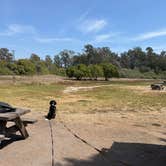 Review photo of North Beach Campground — Pismo State Beach by Tom H., August 26, 2026