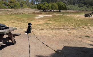 Tom H.'s photo of camping with pets at North Beach Campground — Pismo State Beach near Santa Maria, CA