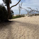 Review photo of North Beach Campground — Pismo State Beach by Christine W., October 27, 2024