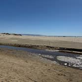 Review photo of North Beach Campground — Pismo State Beach by Kim G., March 8, 2026