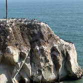 Review photo of North Beach Campground — Pismo State Beach by Tom H., August 26, 2026