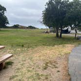 Review photo of North Beach Campground — Pismo State Beach by Christine W., October 27, 2024