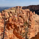 Review photo of North Campground — Bryce Canyon National Park by Doris D., October 5, 2024