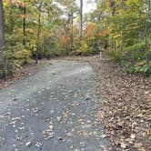Review photo of Arrowhead Campground by Robert D., October 21, 2025