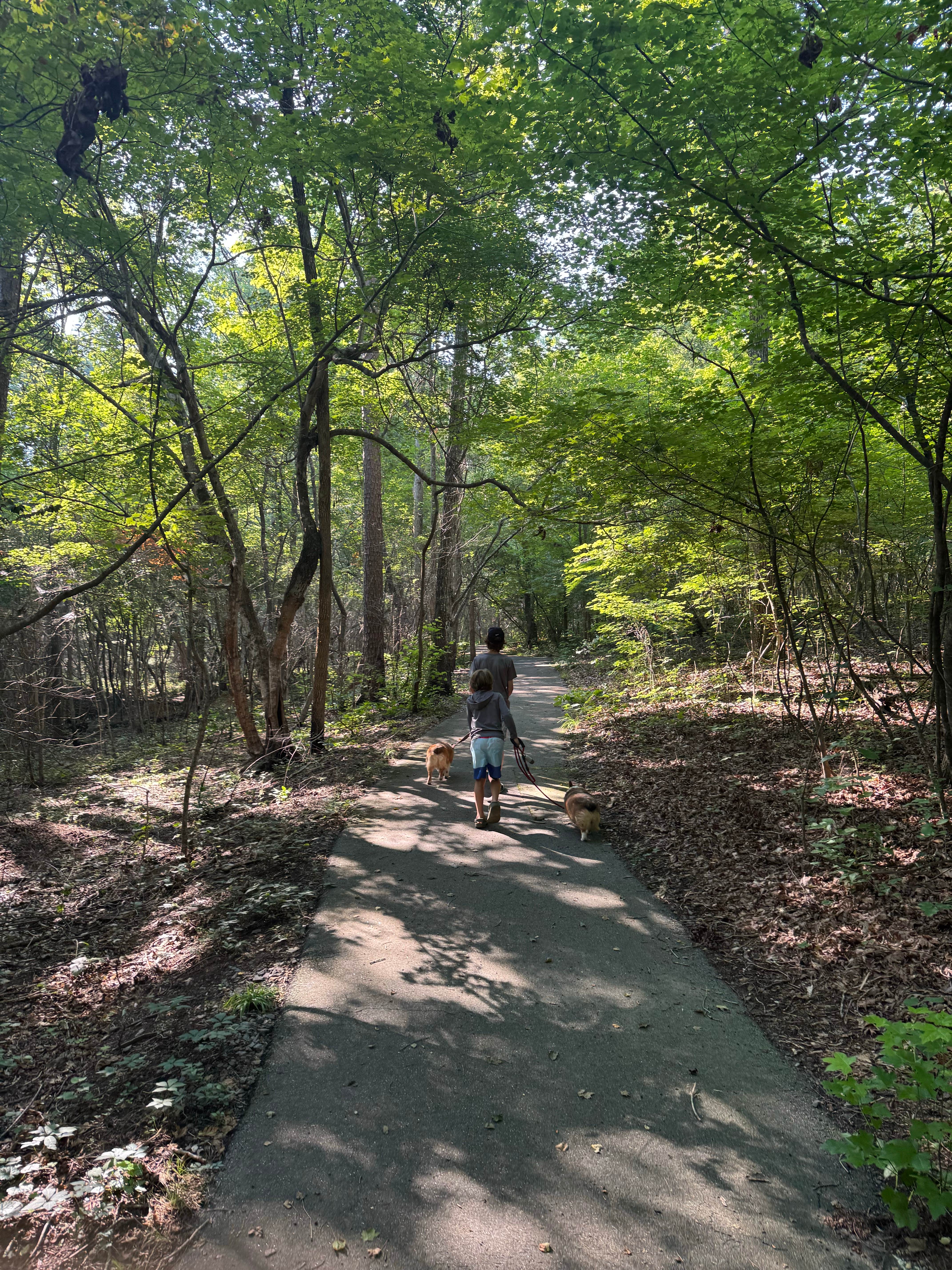 Matt R.'s photo of camping with pets at Arrowhead Campground near Mount Gilead, NC