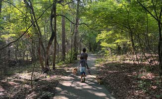 Matt R.'s photo of camping with pets at Arrowhead Campground near Robbins, NC