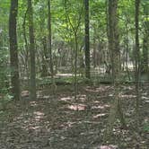 Review photo of Arrowhead Campground by Matt R., July 5, 2025