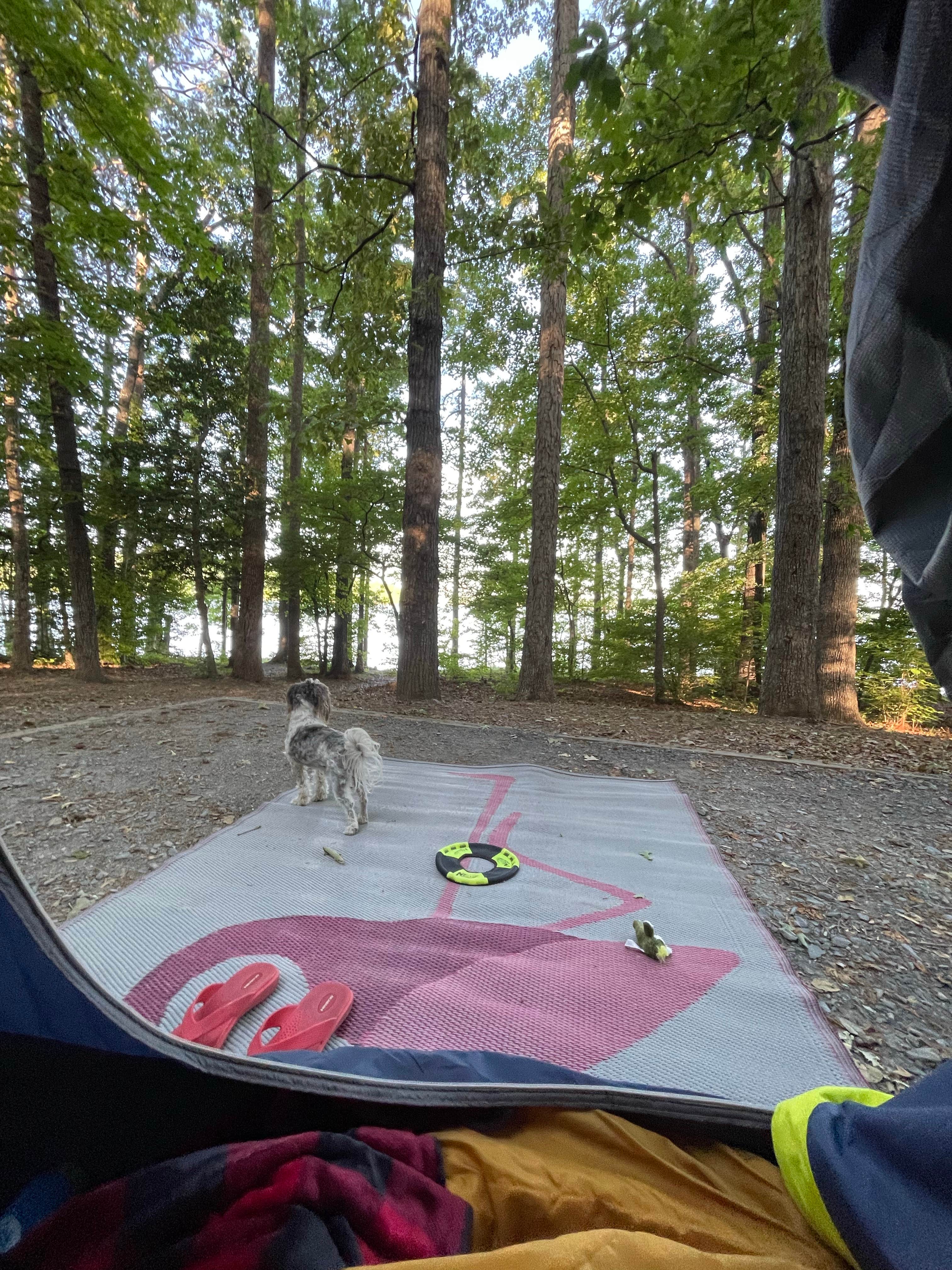 jamie R.'s photo at Badin Lake Campground near Southmont, NC