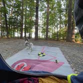 Review photo of Badin Lake Campground by jamie R., May 6, 2026