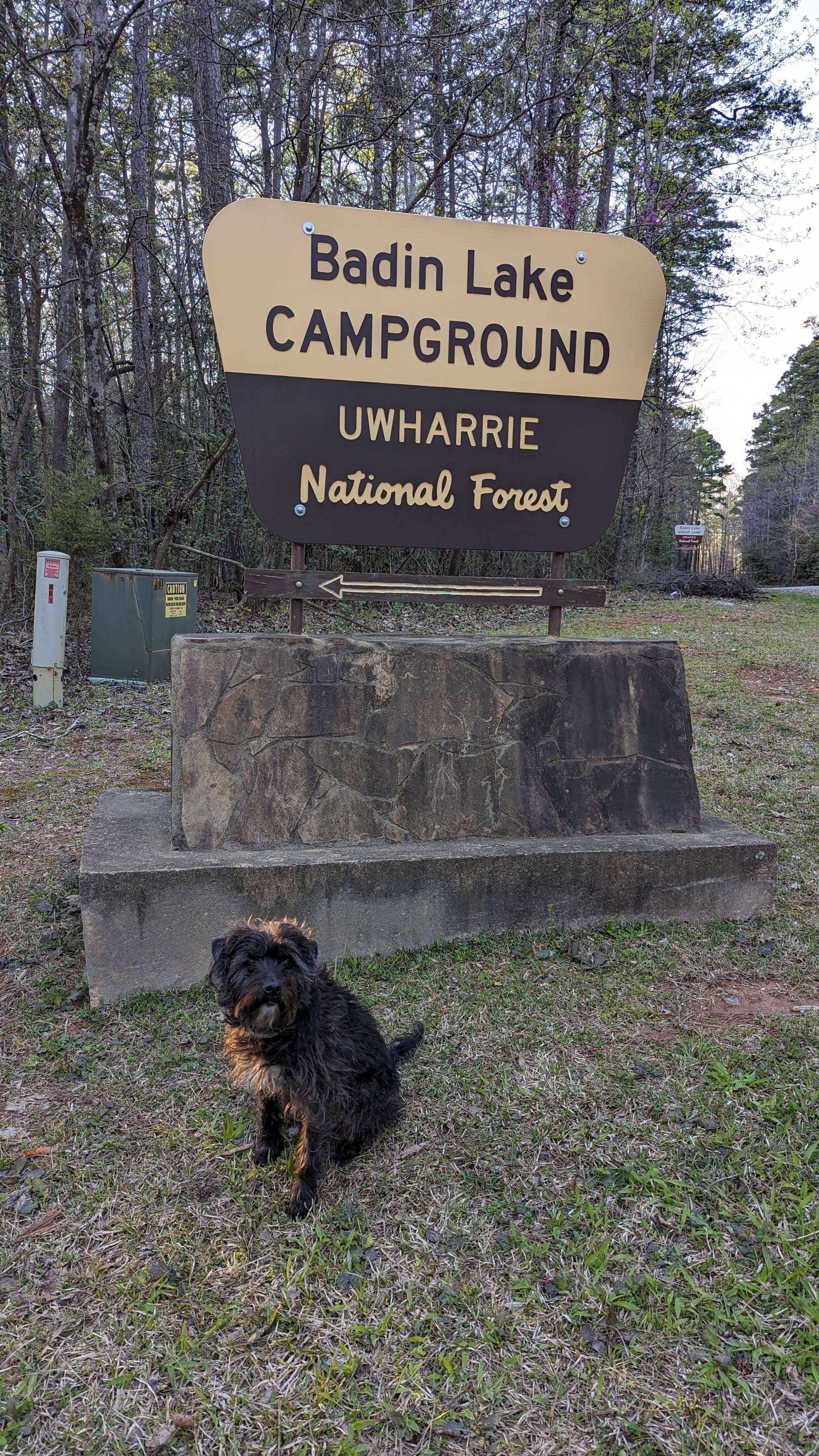 Mallory H.'s photo of camping with pets at Badin Lake Campground near Mount Gilead, NC