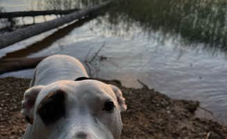 Madison J.'s photo of camping with pets at Badin Lake Campground near Uwharrie National Forest
