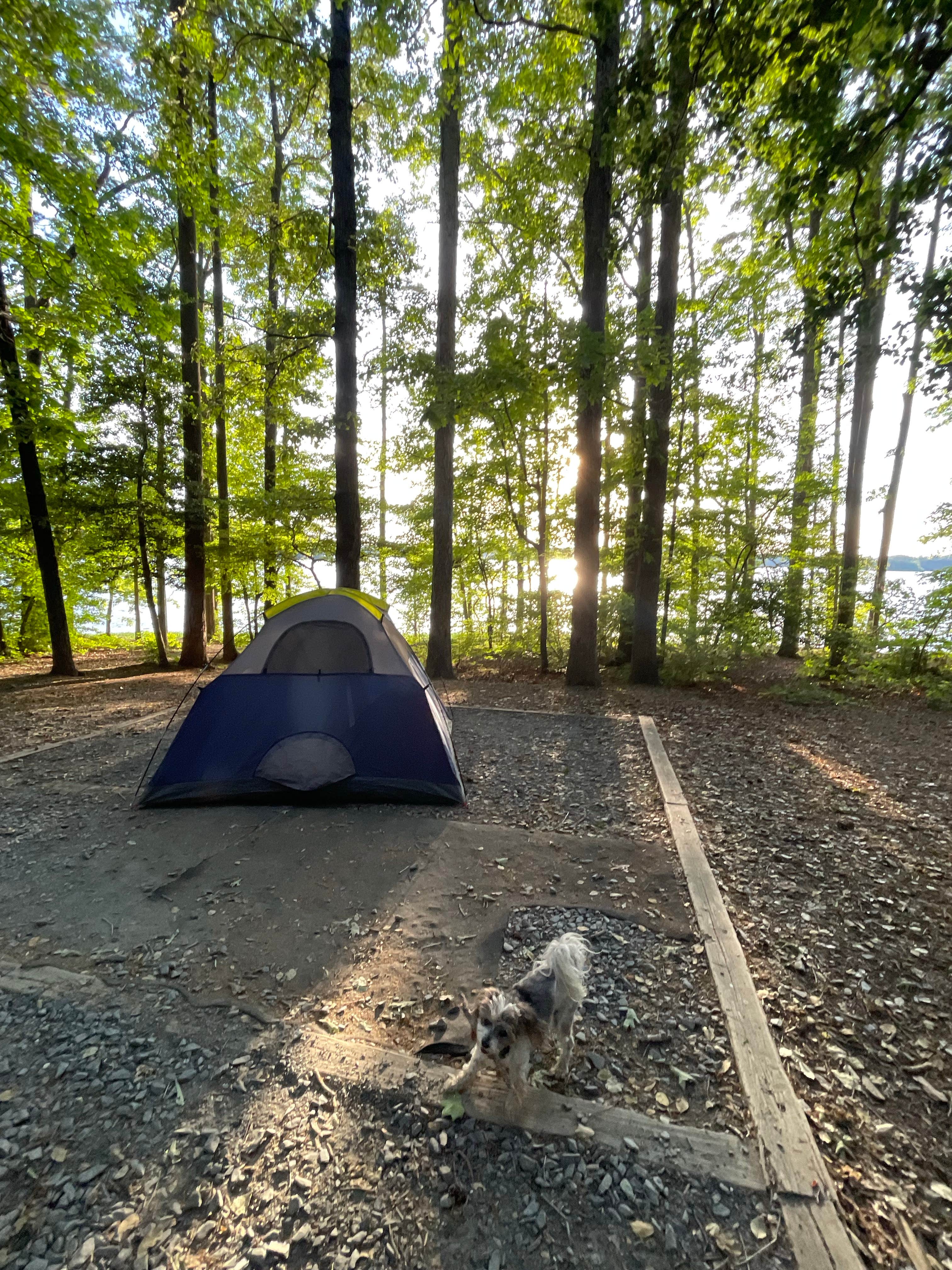 jamie R.'s photo at Badin Lake Campground near Asheboro, NC
