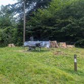 Review photo of Balsam Mountain Campground — Great Smoky Mountains National Park by Colin R., July 27, 2026