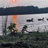 Review photo of Cane Creek Park by Sarah B., July 5, 2025