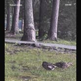 Review photo of Cane Creek Park by Sarah B., July 5, 2025