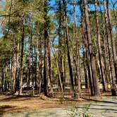 Review photo of Cane Creek Park by David E., May 8, 2025