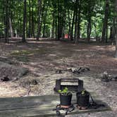 Review photo of Cane Creek Park by Sarah B., July 5, 2025