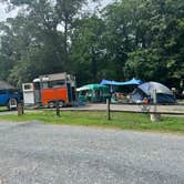 Review photo of Canebrake Horse Camp by Jackie S., August 30, 2024