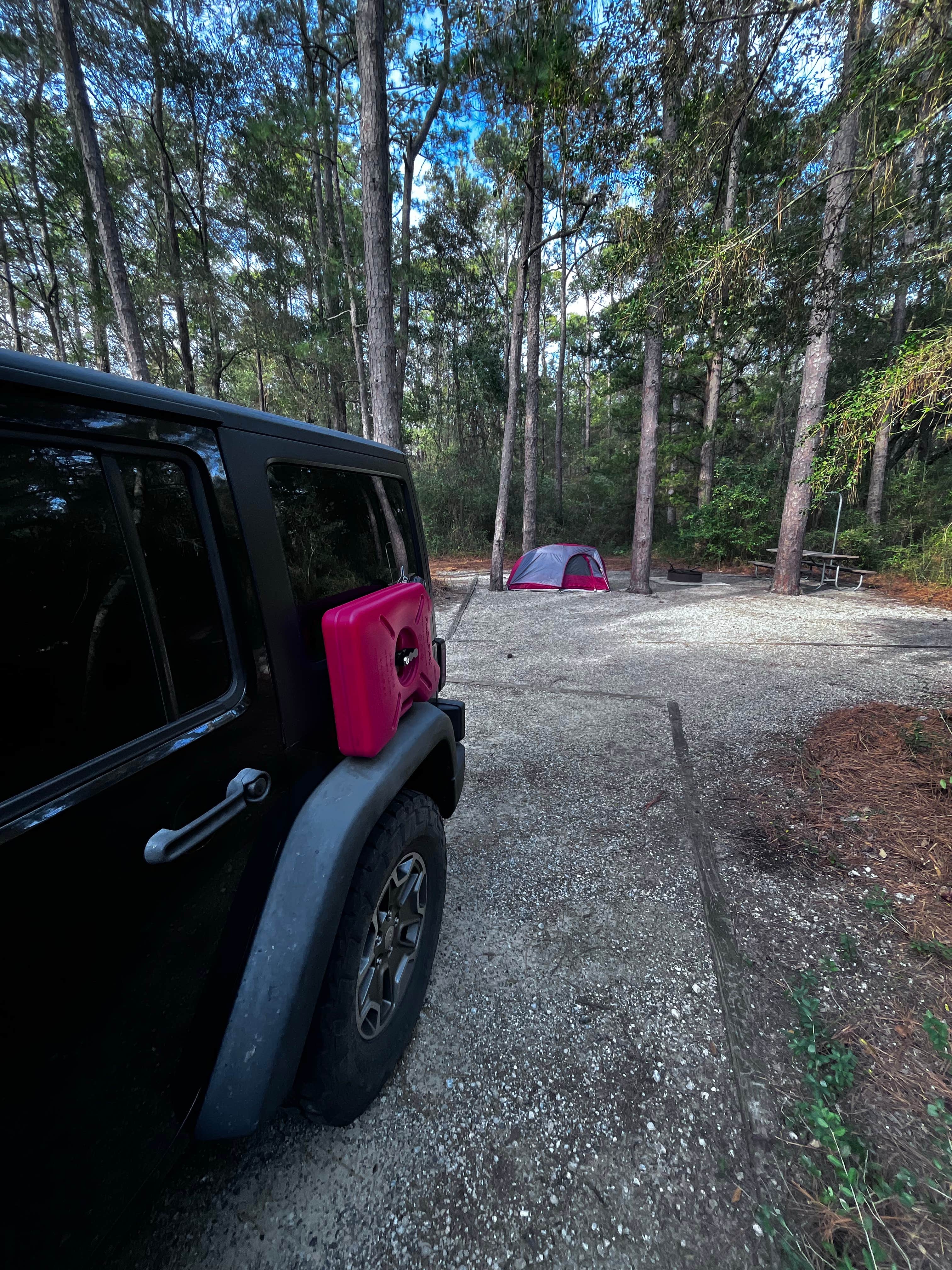 Jeff B.'s photo at Carolina Beach State Park Campground near Wilmington, NC