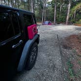 Review photo of Carolina Beach State Park Campground by Jeff B., April 20, 2026