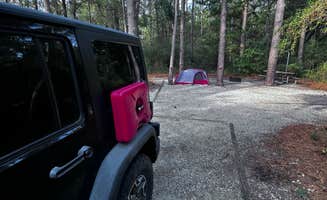Jeff B.'s photo at Carolina Beach State Park Campground near Hampstead, NC