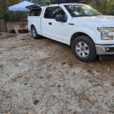 Review photo of Carolina Beach State Park Campground by Steven C., November 24, 2024