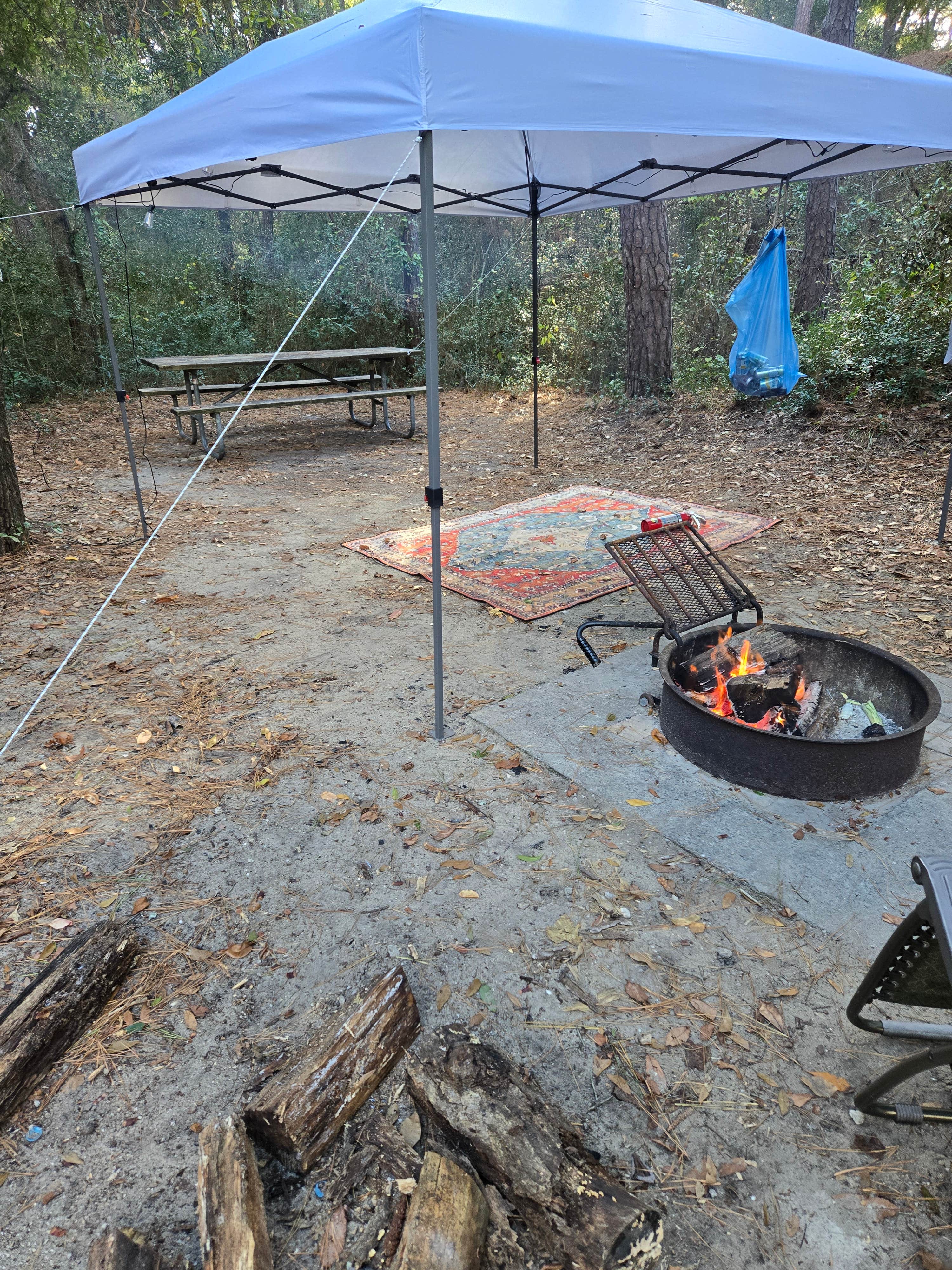 Steven C.'s photo at Carolina Beach State Park Campground near Carolina Beach, NC